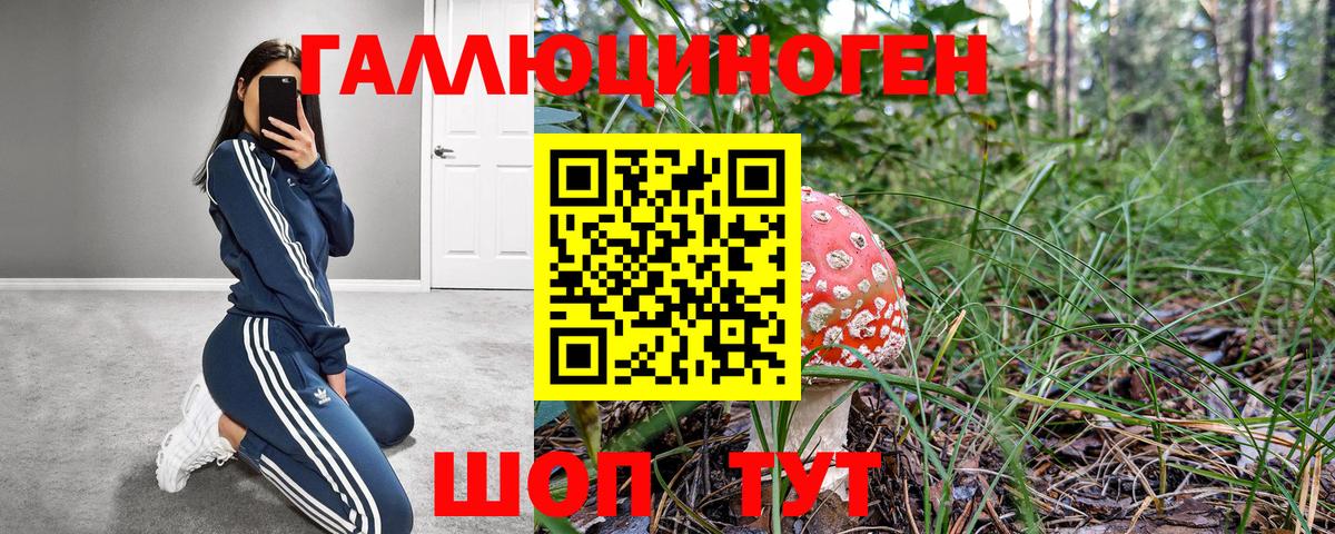 Псилоцибиновые грибы Psilocybine cubensis  Псилоцибиновые грибы мухоморы  как найти закладки  Железноводск  Вход с VPN 