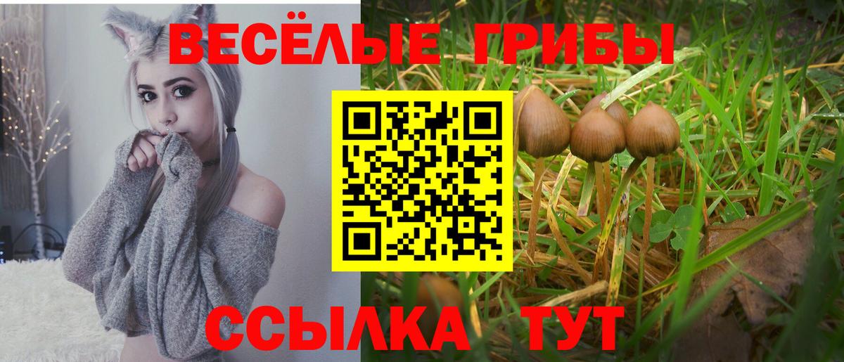 Галлюциногенные грибы Cubensis Железноводск